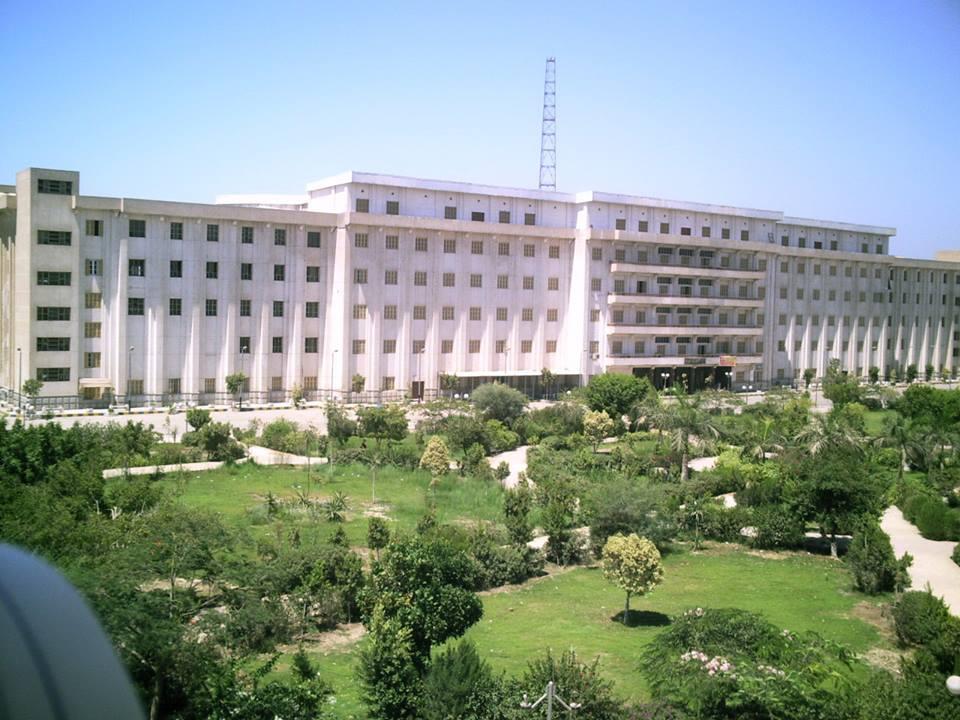 التحقيق مع أستاذ جامعي بتهمة الهتاف ضد السيسي