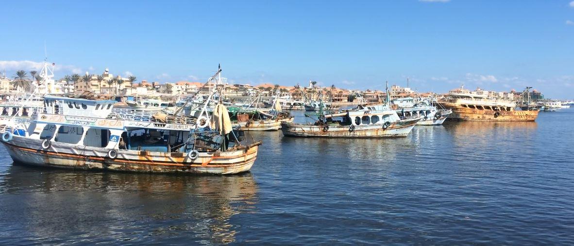 الإفراج عن 72 صيادًا مصريًا كانوا محتجزين في اليمن