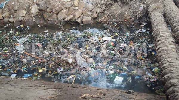 ترع بني سويف.. الوباء لا يلفت نظر المسئولين