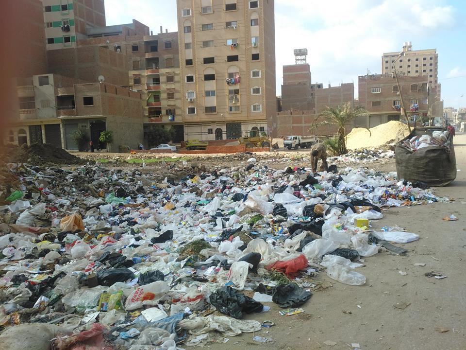 بالصور.. القمامة تنتشر في أحياء الجيزة.. والأهالي: التلوث هو العنوان