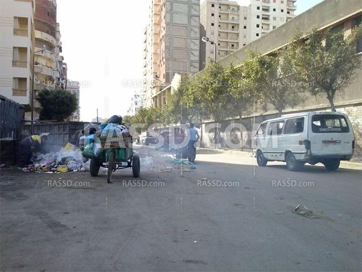 بالصور | الاسكندرانية يشتكون من القمامة المحترقة