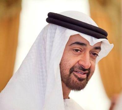 سياسيون: مستشار ولي عهد الإمارات ينقلب على الانقلاب