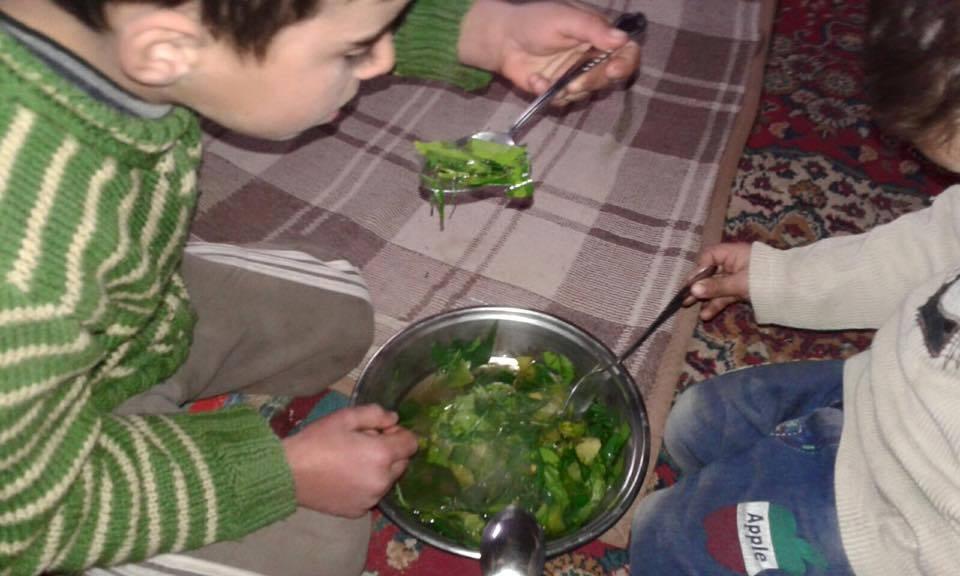 الأمم المتحدة تستعد لتوصيل مساعدات إلى مضايا السورية المحاصرة