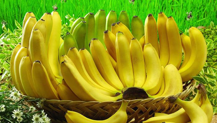 يرفع الروح المعنوية.. تعرف على أهم الفوائد الصحية للموز