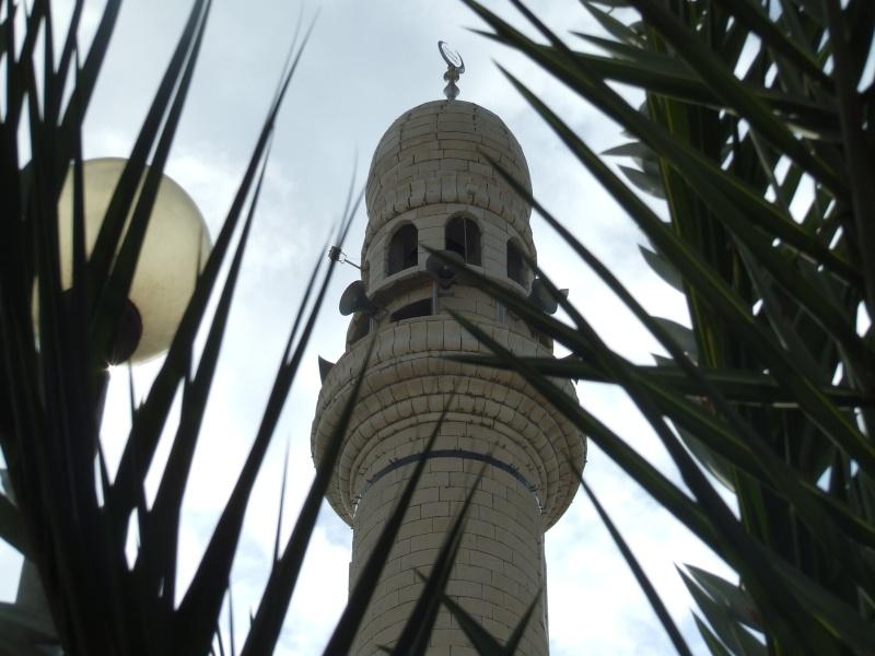 فيديو..استخدام “مكبر صوت” مسجد للدعاية للدستور بالدقهلية