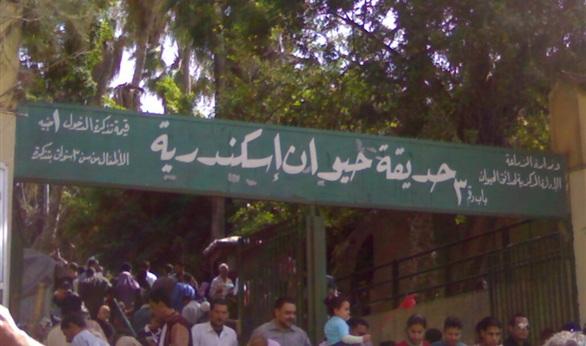 محافظ الإسكندرية يخصص حديقة حيوان للتظاهر بدون تصريح