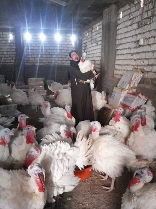 أسيوط.. ارتفاع سعر الدواجن لـ19 للكيلو.. والرومي يسيطر على السوق