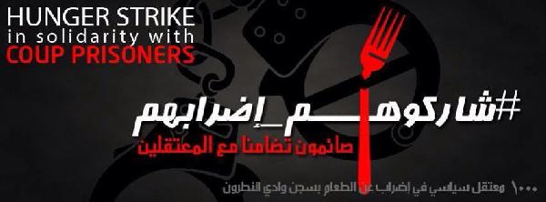 “شاركوهم إضرابهم”..حملة للتضامن مع معتقلى وادي النطرون