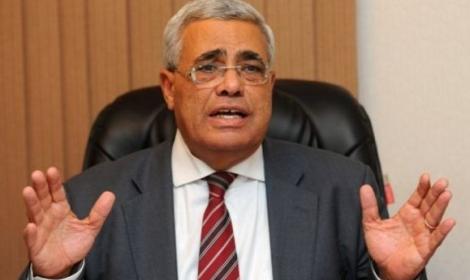 نافعة: البديل مخيف.. إما ثورة جياع أو تصحيح من داخل الجيش