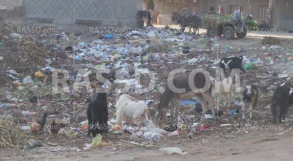 الشوارع الرئيسية في أسيوط تتحول إلى سوق