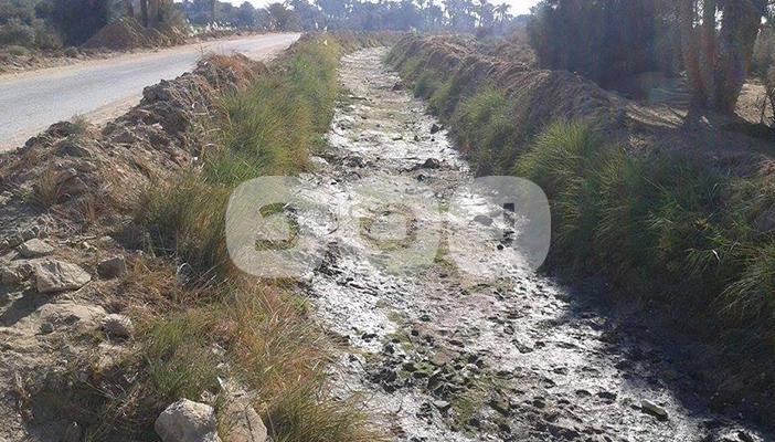 بالصور.. استخدام مياه الصرف الصحي والمجاري لري أراضي الفيوم