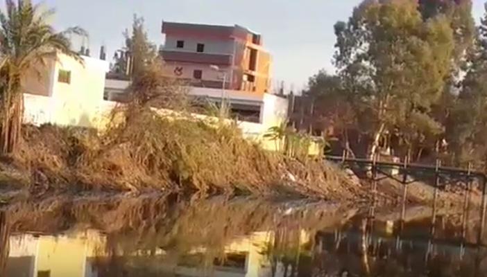 بالفيديو.. تسمم مياه الشرب ونفوق كميات كبيرة من الأسماك في المنوفية