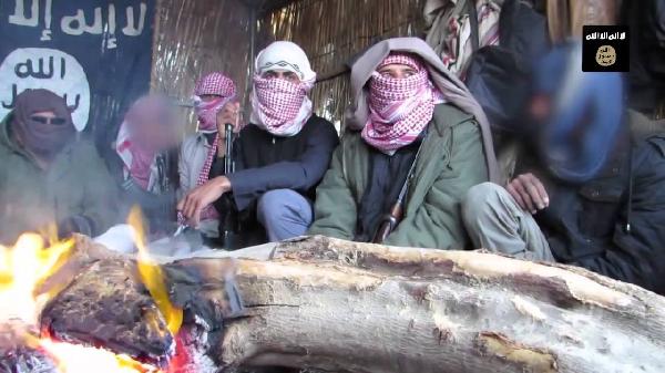 ستريت جورنال: ولاية سيناء أخطر فروع “داعش”