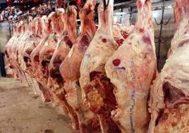 مباحث التموين تضبط لحومًا فاسدة بالغردقة