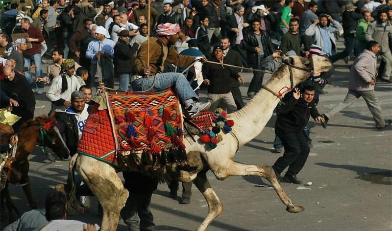 فى الذكرى الثالثة لموقعة الجمل… فتش عن دور الجيش