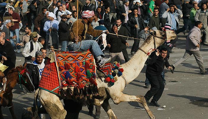 موقعة الجمل في ذكراها الرابعة.. 14 قتيلا و1500 مصاب بلا جاني