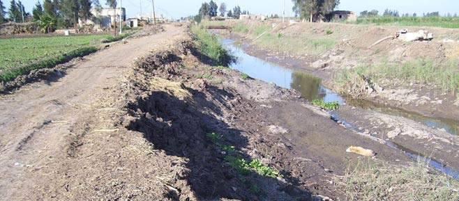 نقص المياه.. يهدد مستقبل الأراضي الزراعية بالدقهلية