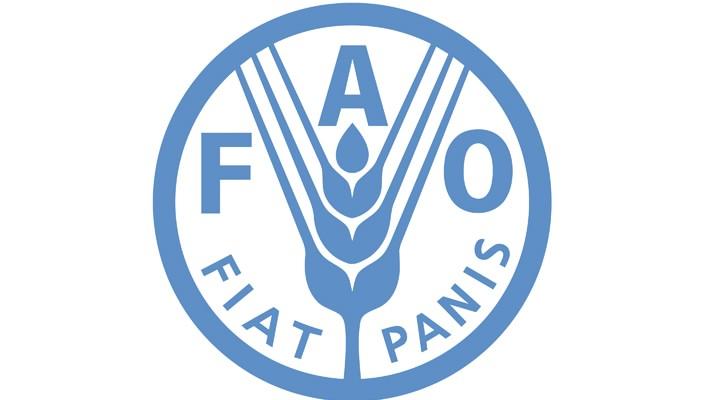 3 عوامل وراء تراجع مؤشر الفاو لأسعار الأغذية في الشهر الماضي