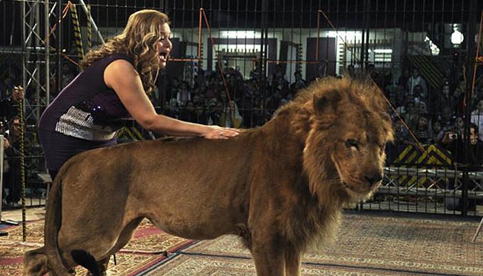 بالفيديو..أغنية بشرة خير تدفع أسد للهجوم على فاتن الحلو