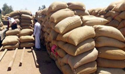 وزير التموين:3,811 طن قمح اجمالي أرصدة القمح حتى يونيو المقبل