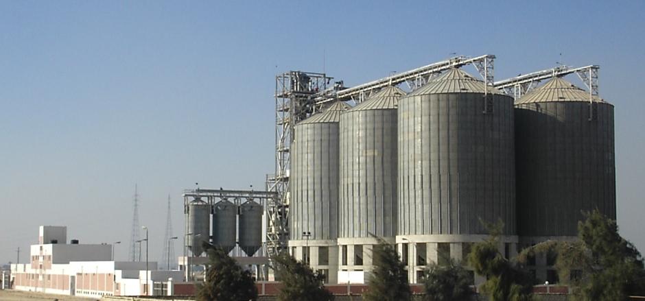 رويترز: “بنجي” تقاضي الحكومة المصرية دوليًا بعد رفضها شحنة قمح فرنسي