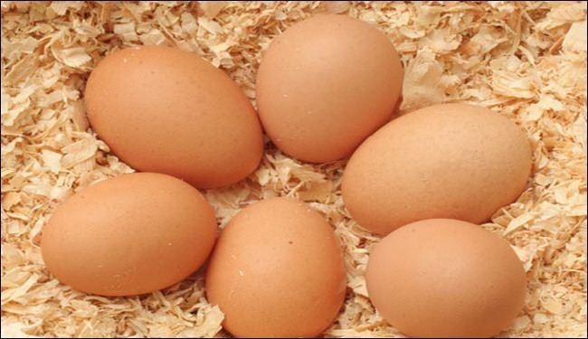 وزير الزراعة: مصر حققت الاكتفاء الذاتي من البيض