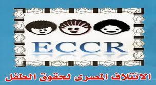 المصري لحقوق الطفل يرحب بإخلاء سبيل 35 طفلًا من أصل 123