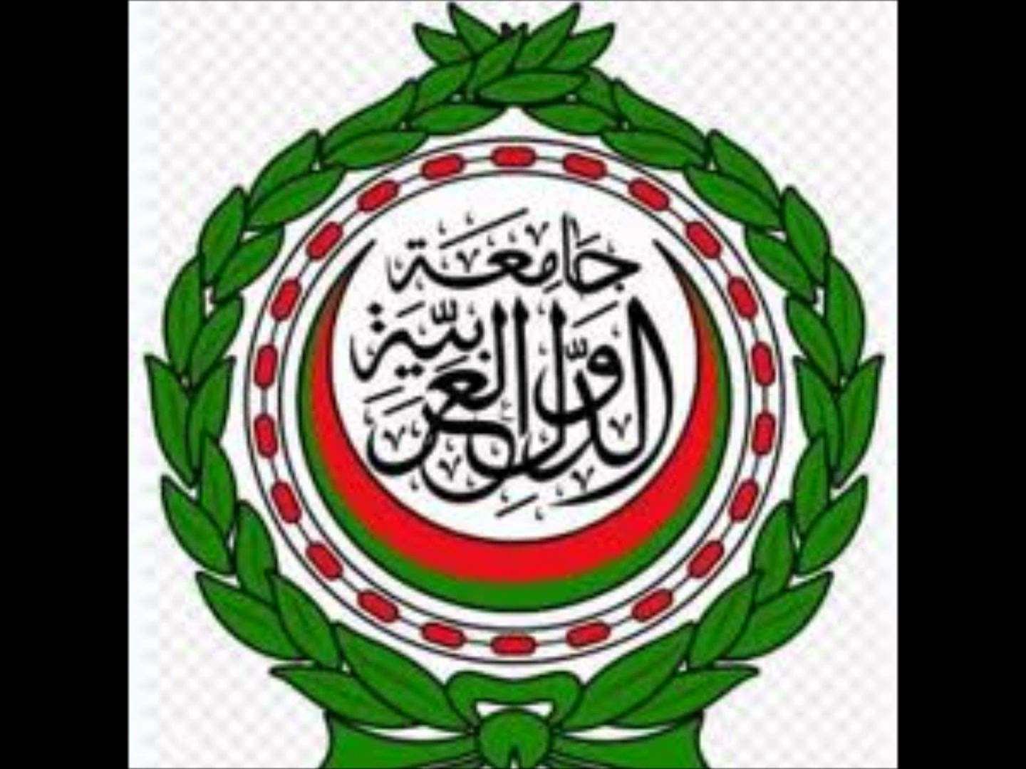 سعيد اللاوندي لـ”رصد”: اقتراح إنشاء فرع للجامعة العربية بدبي “فاشل”