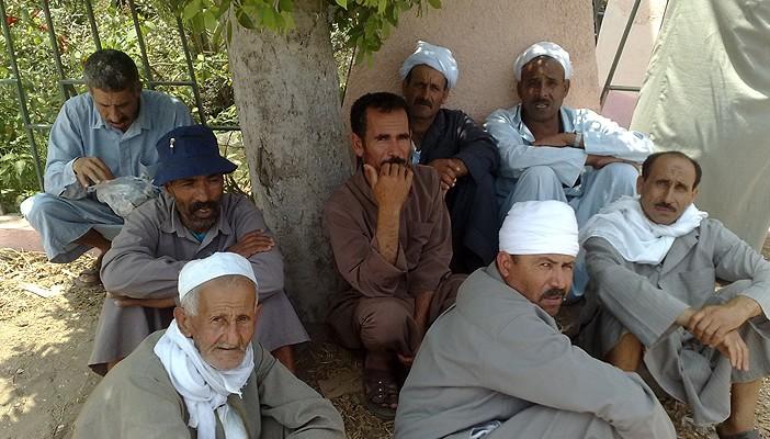 وزارة الزراعة تفعل خطة مرسي بإعفاء الفلاحين من ديونهم