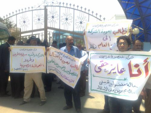 إضراب مفتوح لعمال مصنع المنصورة للراتنجات للمطالبة بحقوقهم