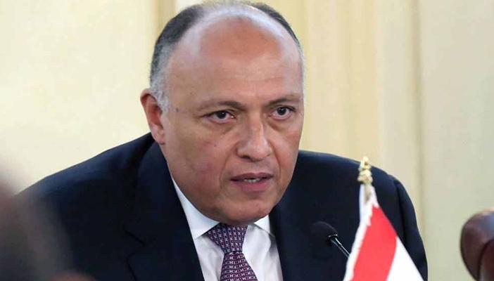 مصر ترفض خوض حرب برية في سوريا