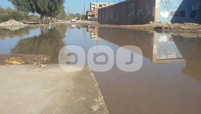 بالصور.. مياه الصرف الصحي تغرق شوارع في الإسماعيلية