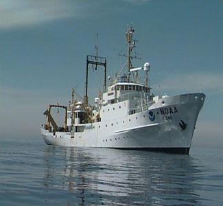 ميناء بورسعيد يستقبل سفينة يونانية تقل سوريين