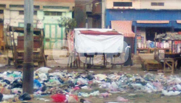 بالصور.. تكدس القمامة بـ”البصراط” في الدقهلية.. والأهالي: الرحمة حلوة