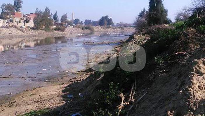 بالصور.. مزارعون بالبحيرة يروون محاصيلهم بالصرف الصحي