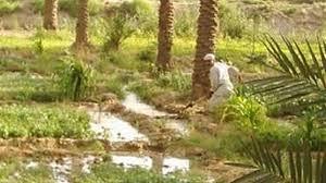 عودة نظام الرأسمالية واحتكار المياه في الشرقية