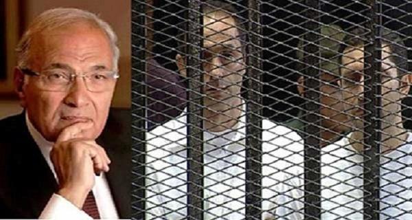 تفاصيل مرافعة النيابة بقضية ارض الطيارين