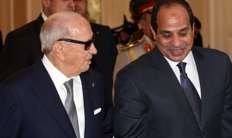 بعد مظاهرات تونسية غاضبة.. أنباء عن إلغاء زيارة السيسي لتونس