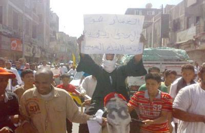 بعد موت “الحمار” حبس صاحبه “سنة” بتهمة التظاهر