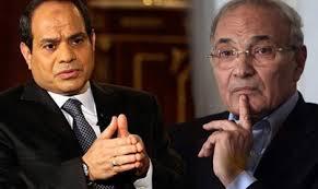 بديل السيسي يطرح نفسه من جديد.. وربيع لـ”رصد”: لابد من موافقة الجيش