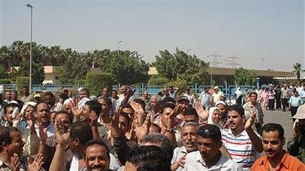 عمال تقاوي سخا في كفر الشيخ يواصلون الإضراب لليوم الرابع