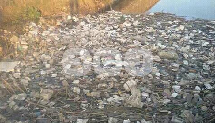 بالصور.. قرية أبوشوشة بالشرقية مهددة بإنفلونزا الطيور والخنازير