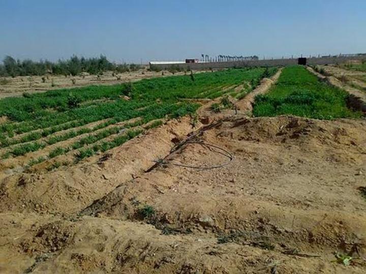 منحة رئاسية لـ”رجال مبارك” في مدينة أكتوبر بمنطقة الحزام الأخضر