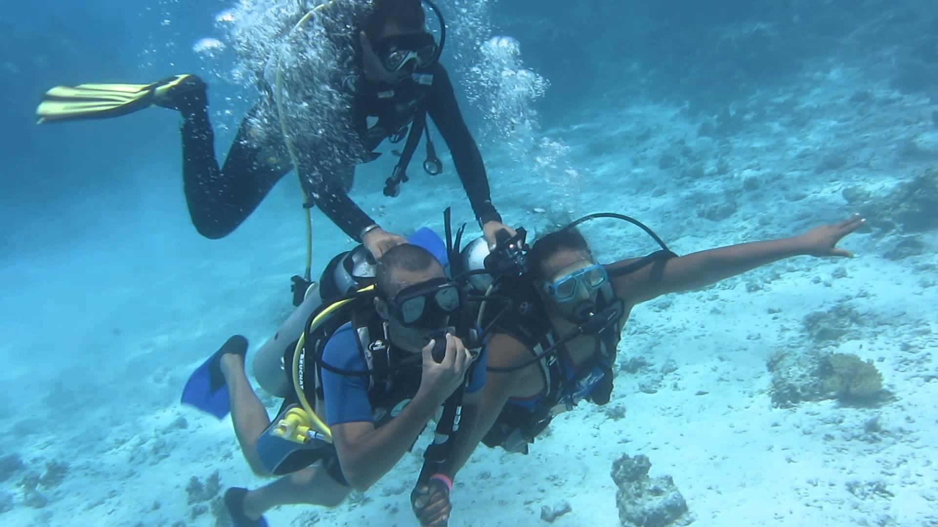 تداعيات سقوط “الروسية”.. إغلاق 70% من مراكز الغوص بالبحر الأحمر