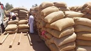 مصر تشتري 295 ألف طن قمح من روسيا ورومانيا