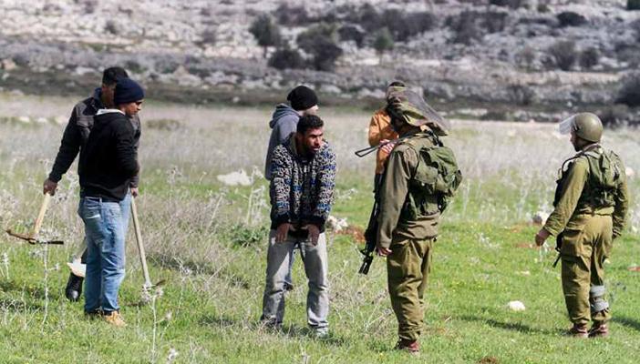 “هآرتس”: المستوطنون يستولون على 600 دونم من أراضي غور الأردن