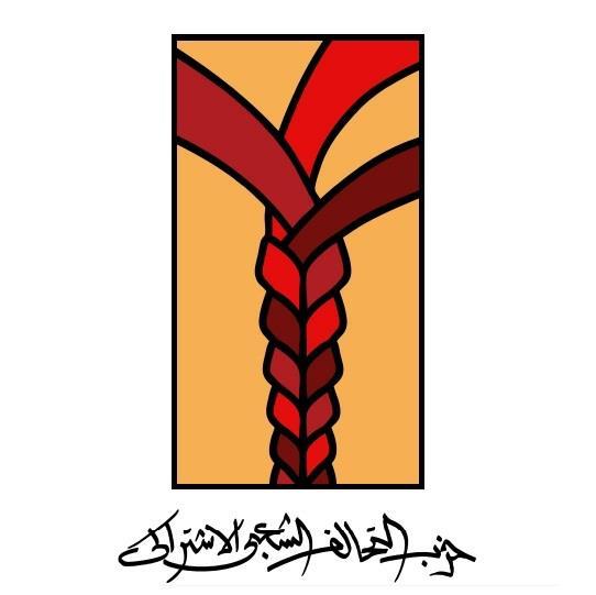 التحالف الشعبى الاشتراكي يرفع شعار المقاطعة مستمرة