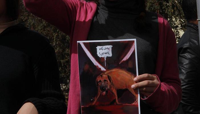 بعد 47 عامًا.. الكلب المذبوح يحيي قصة “كلب الست”