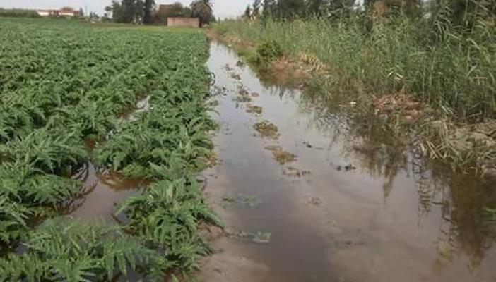 انهيار السدود الترابية لأحواض الصرف بأسوان وغرق مقابر “أدندان”