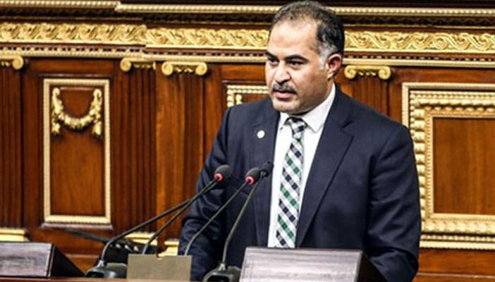 بالفيديو.. وكيل مجلس النواب يكشف أسباب إسقاط عضوية عكاشة